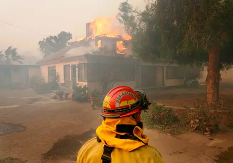 Castronul de apă al câinelui a provocat incendierea casei