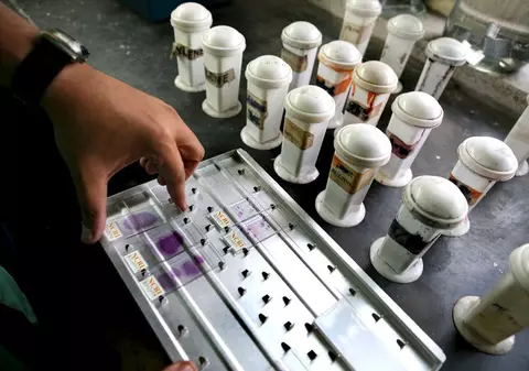 Bătrânii ar putea fi imuni la gripa porcină