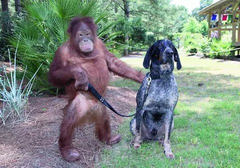 Ce prietenie ciudată!