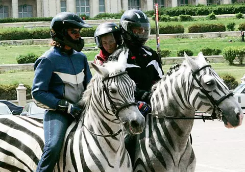 Ne promovăm ţara cu cai vopsiţi!!!