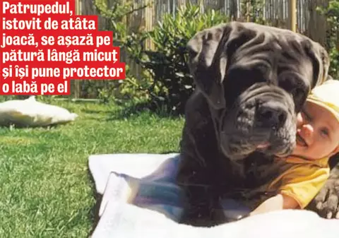 Uite cine are grijă de bebeluş!