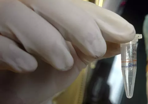 Încă două cazuri de gripă porcină la noi în ţară