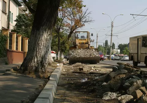 „Borduriada" a pregătit copacii pentru dezastrul din Bucureşti 