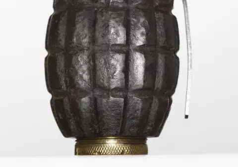 Un câine i-a adus stăpânei sale o grenadă