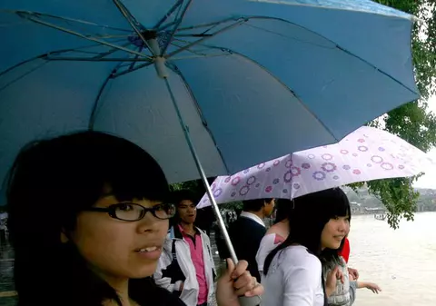 Ploi cu mormoloci în Japonia