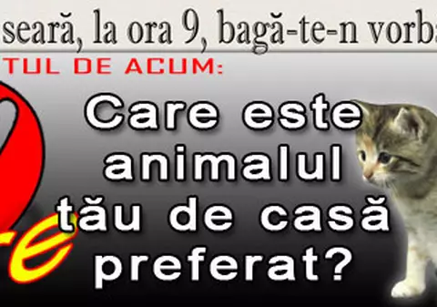 O 9 părere: Care este animalul tău de casă preferat?