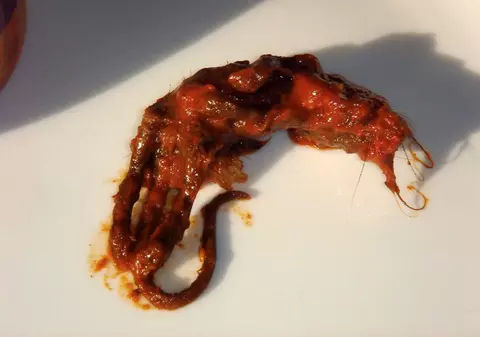 Sosul curry “condimentat” şi cu... un şoricel