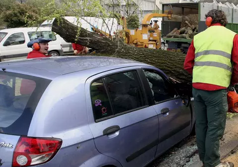A vrut să-şi calce soţia, dar a nimerit copacul