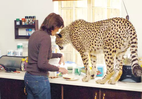 Locuieşte cu 11 fiare