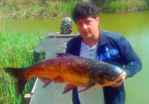 Tavi Colen a prins un peşte de 19 kg