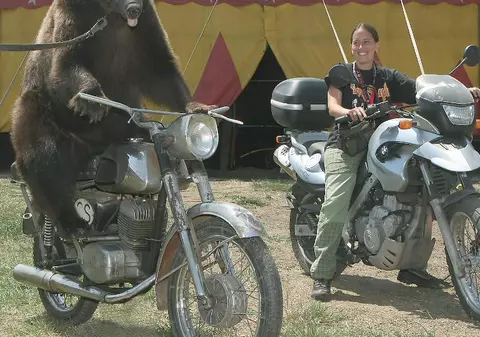 M-am întrecut cu... ursoaica motociclistă