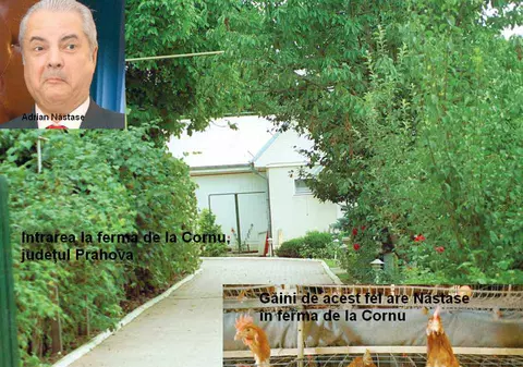 Năstase a vândut ouă de 80.000 €