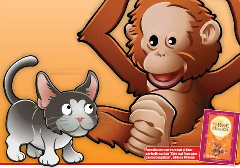 Povestea maimuţei şi a puiului de pisică