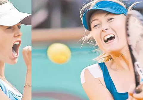 «Împuşcaţi-le!»