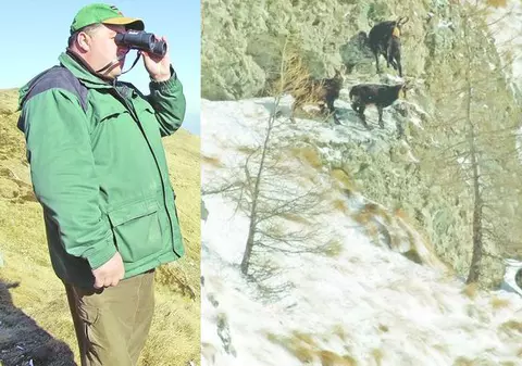 «Am numărat caprele negre»