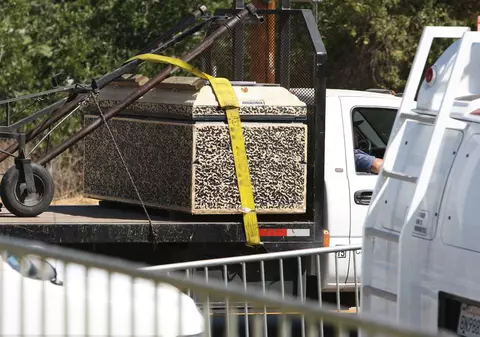 Ceremonie privată la cimitir pentru Michael Jackson 
