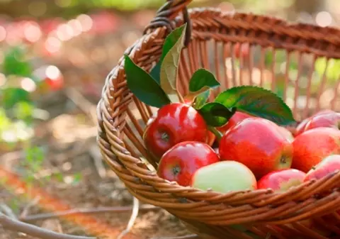 Merele fac minuni pentru ten