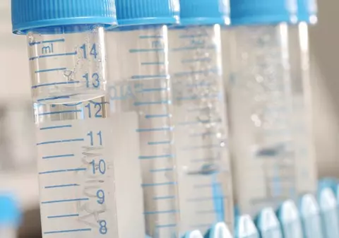 OMS şi ONU, acuzate de bioterorism şi genocid
