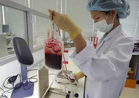 Diabetul ar putea fi tratat cu celule porcine