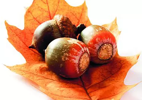 Ghindele opresc hemoragia