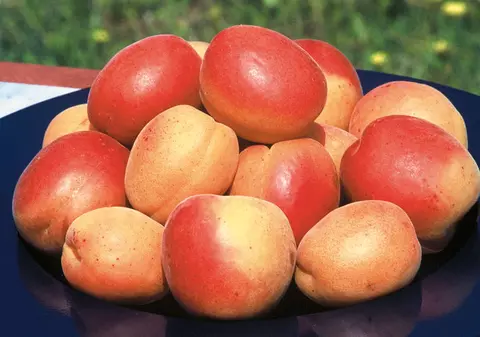 Caise și nectarine importate din Turcia, pline de pesticide. Ce s-a descoperit la controale