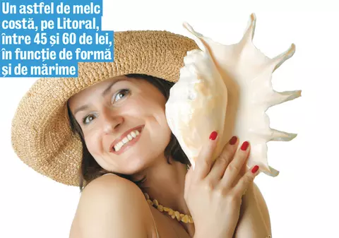 Decorează-ţi casa şi curtea cu scoici