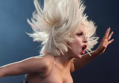 Lady GaGa, goală pentru PETA