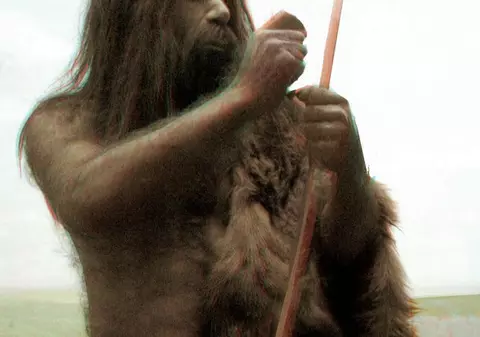Omului de Neanderthal nu i-ar fi plăcut varza de Bruxelles