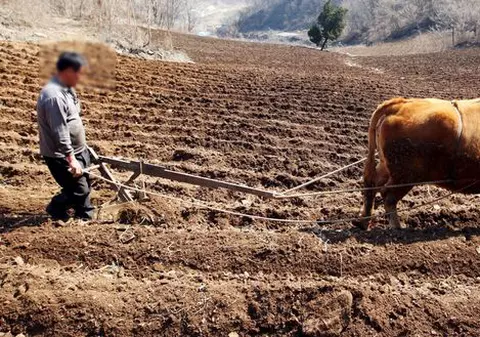 Închis la 82 de ani, pentru o palmă de pământ