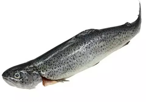 Peştele previne îmbătrânirea pielii