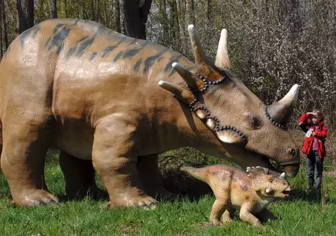 Dinozaurii invadează Râşnovul