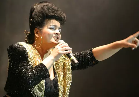 Cornelia Catanga: "Ionuţ Dolănescu este un ţigan rudar"