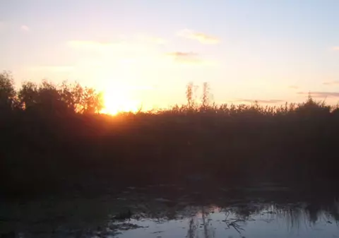 România, acuzată de distrugerea ecosistemului în Delta Dunării