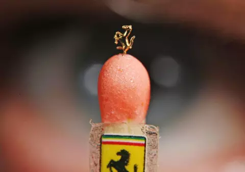 Uimitor / Iată cel mai mic căluţ Ferrari din lume!