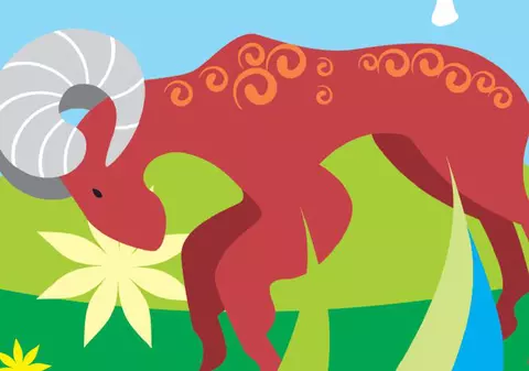 Berbecii sunt energici