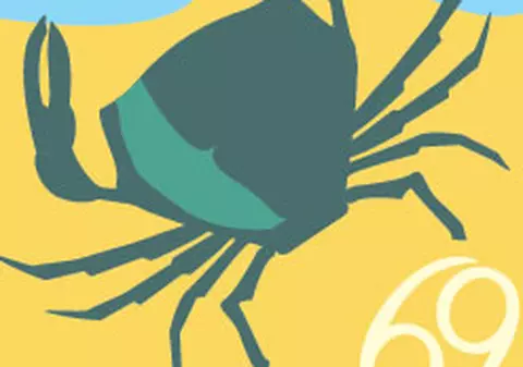 Racii se maturizează