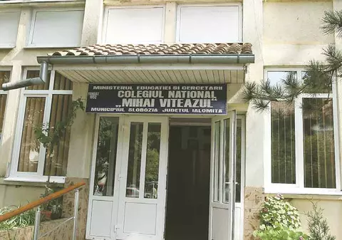 Încă un caz de gripă porcină