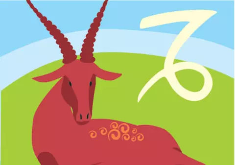 Capricornii se ceartă