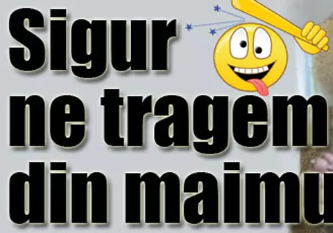 Sigur ne tragem din maimuţe?