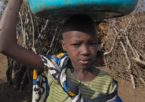 Africanii se tem de plasele de ţânţari
