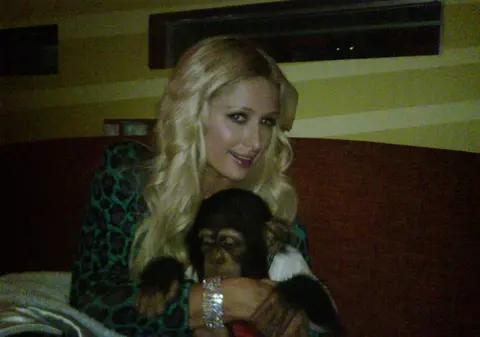 Paris Hilton, îndrăgostită de un cimpanzeu