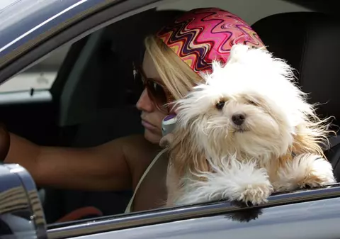 Jessica Simpson: "Daisy însemna totul pentru mine!"