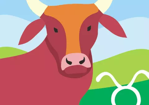 Taurii vor să se impună