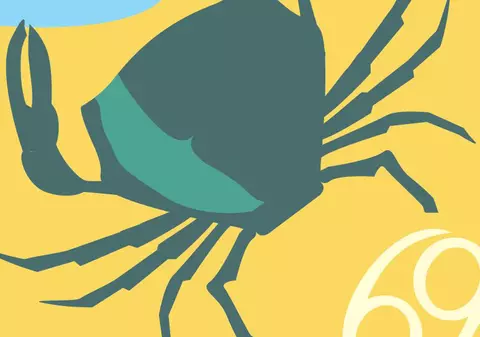 Racii sunt răbdători