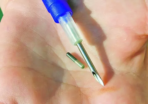 Maidanezii vor avea microcipuri