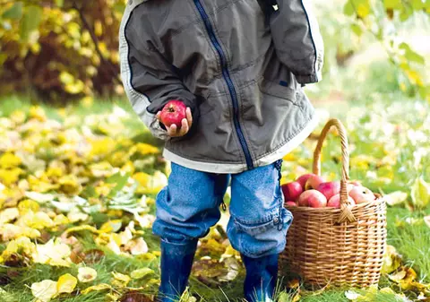 De ce e bine să mănânci un măr pe zi