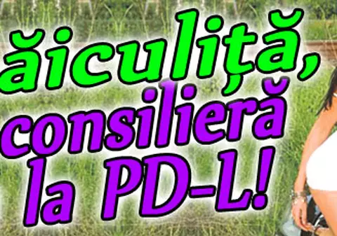 Măiculiţă, ce consilieră au la PD-L!