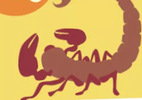 Scorpionii au proiecte