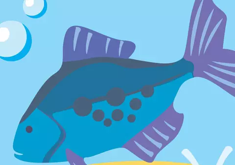 Peştii primesc veşti