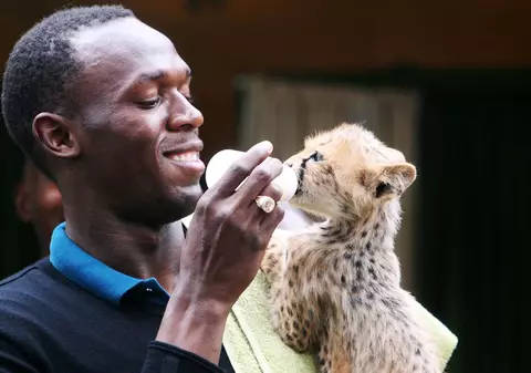 Usain Bolt a adoptat un pui de ghepard